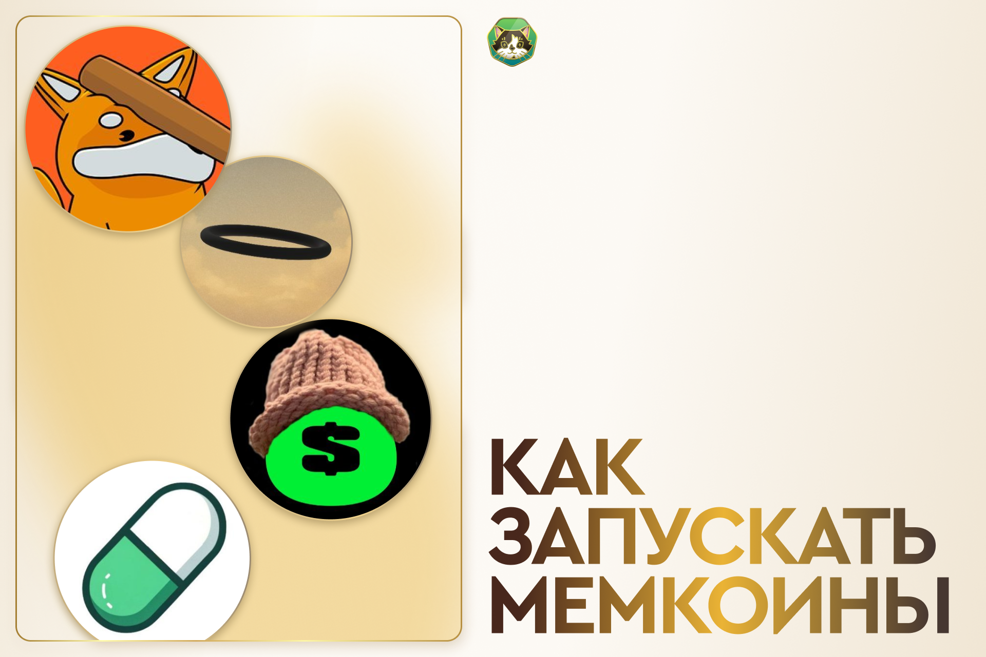 Как запускать мемкоины