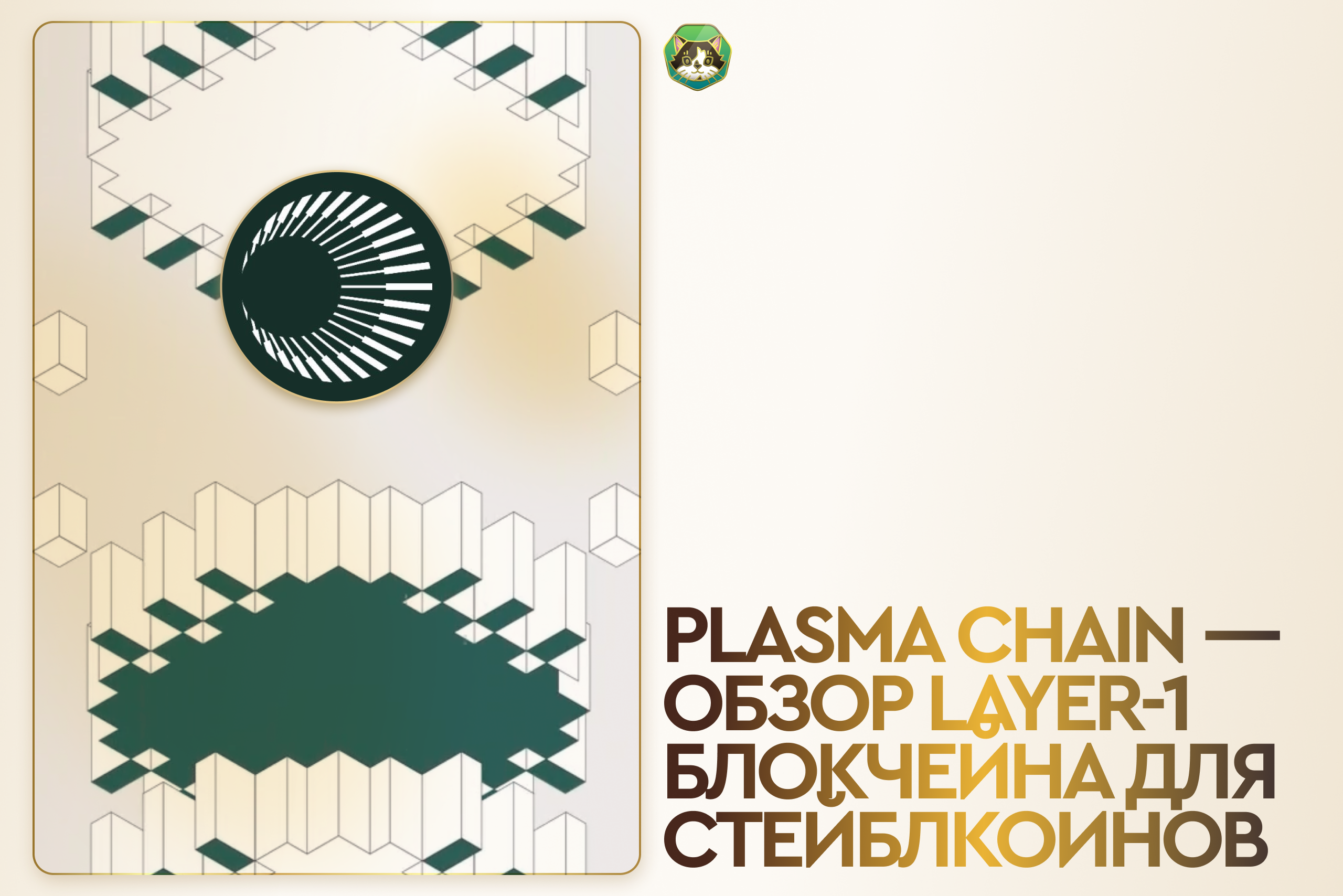 Plasma Chain – обзор Layer-1 блокчейна для стейблкоинов